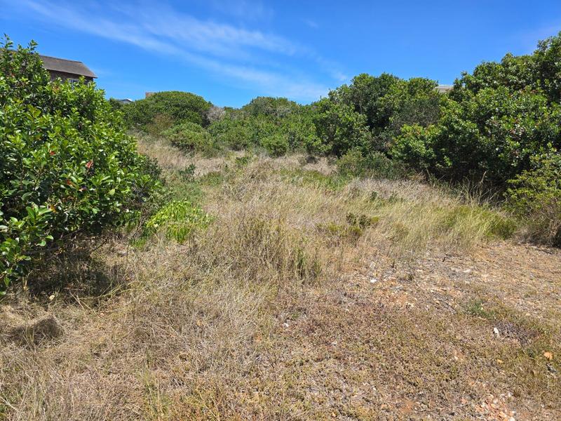 0 Bedroom Property for Sale in Stilbaai Wes Western Cape